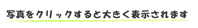 写真をクリックすると大きく表示されます。