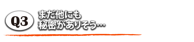 まだほかにも秘密がありそう